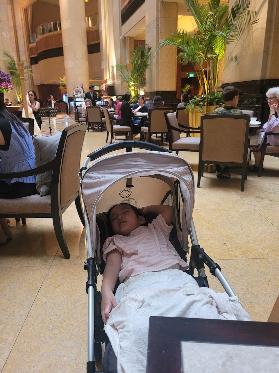 1-Day Stroller-Safe Express Plan in Singapore