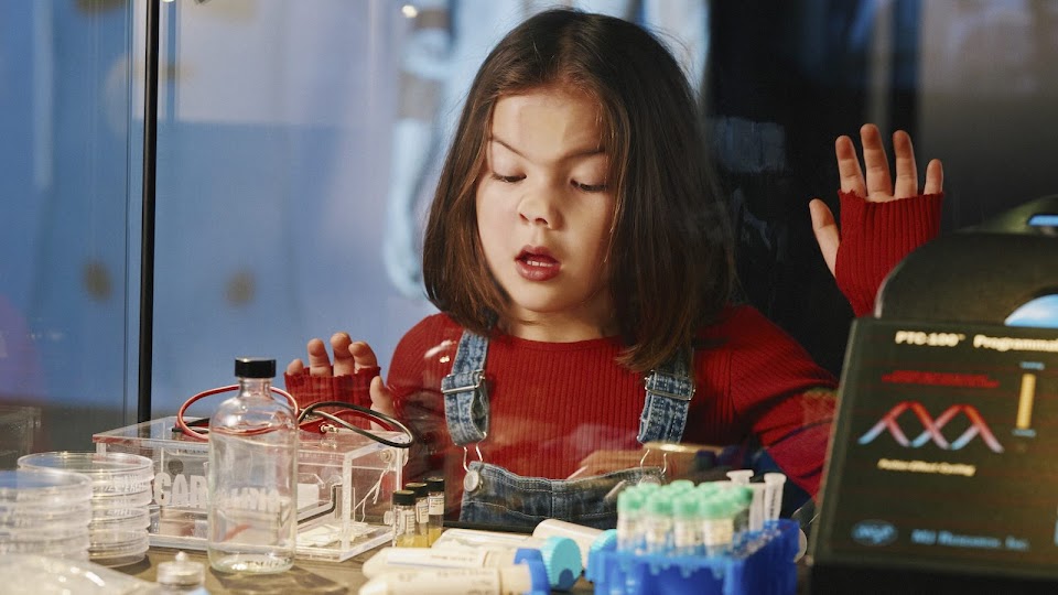 4-Day Science & Sensory Discovery Tour in Stockholm