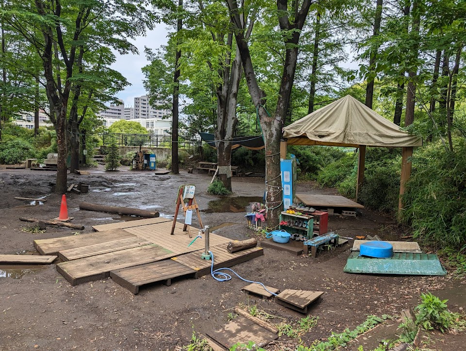2-Day Parks & Playgrounds Adventure in Tokyo