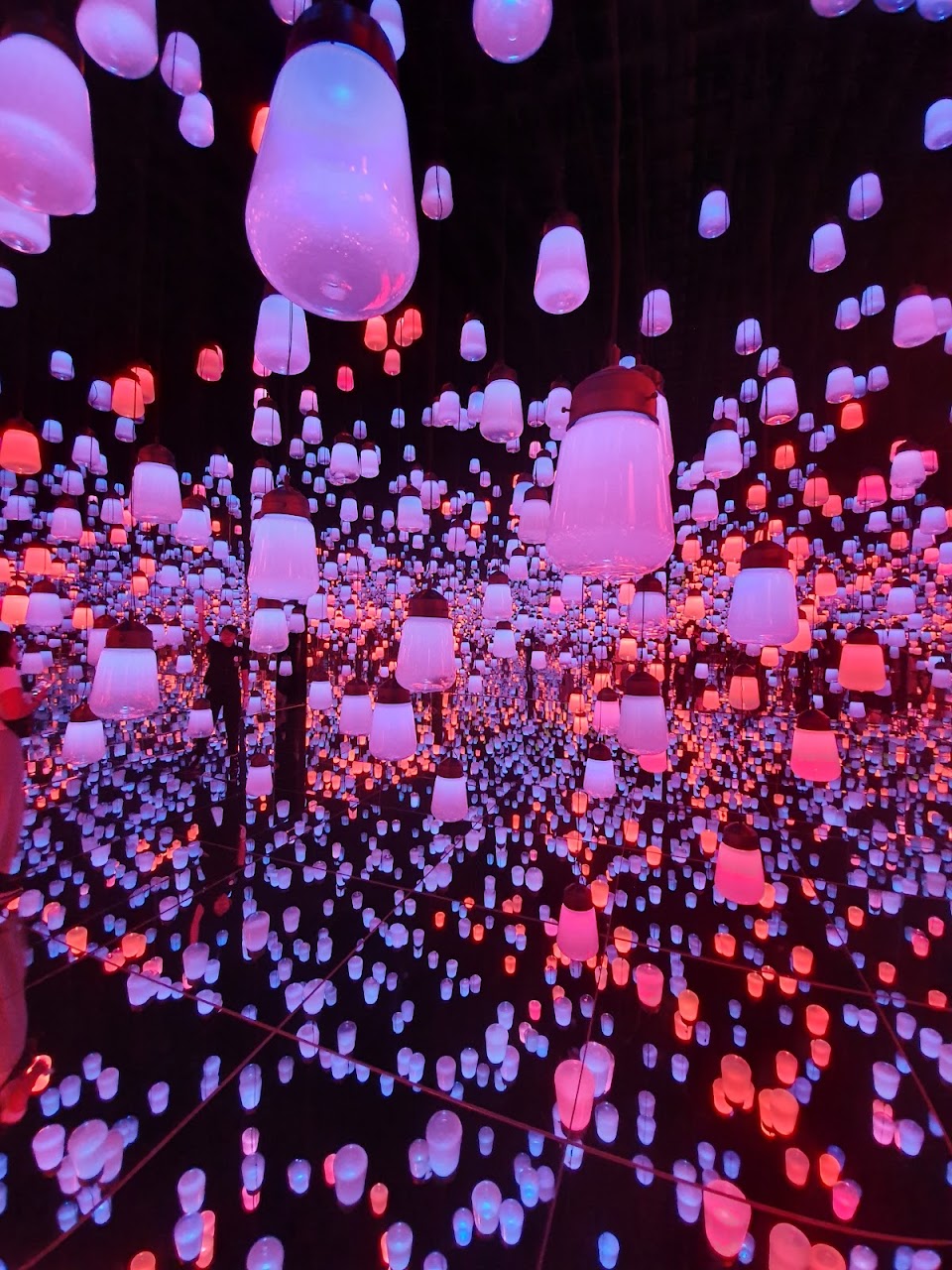 3-Day Indoor Play & Interactive Museums in Tokyo