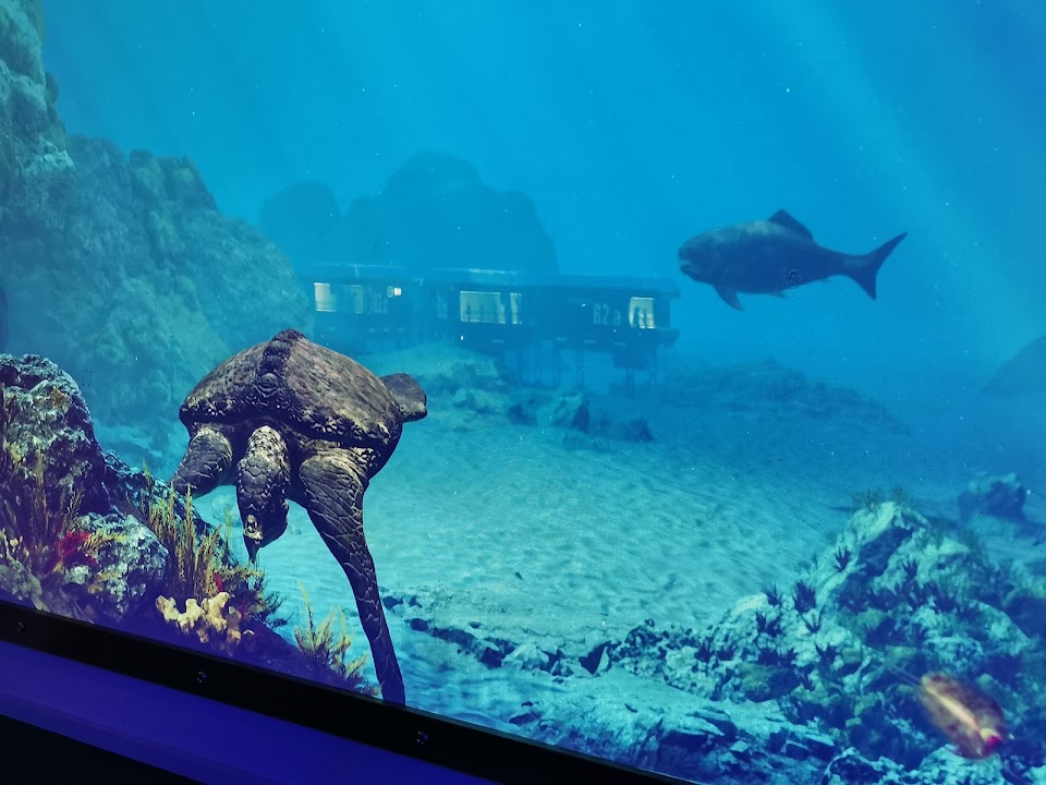 3-Day Indoor Play & Interactive Museums in Vienna