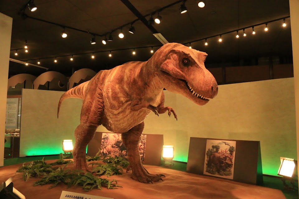 Nifty Science & Discovery Center Kyoto