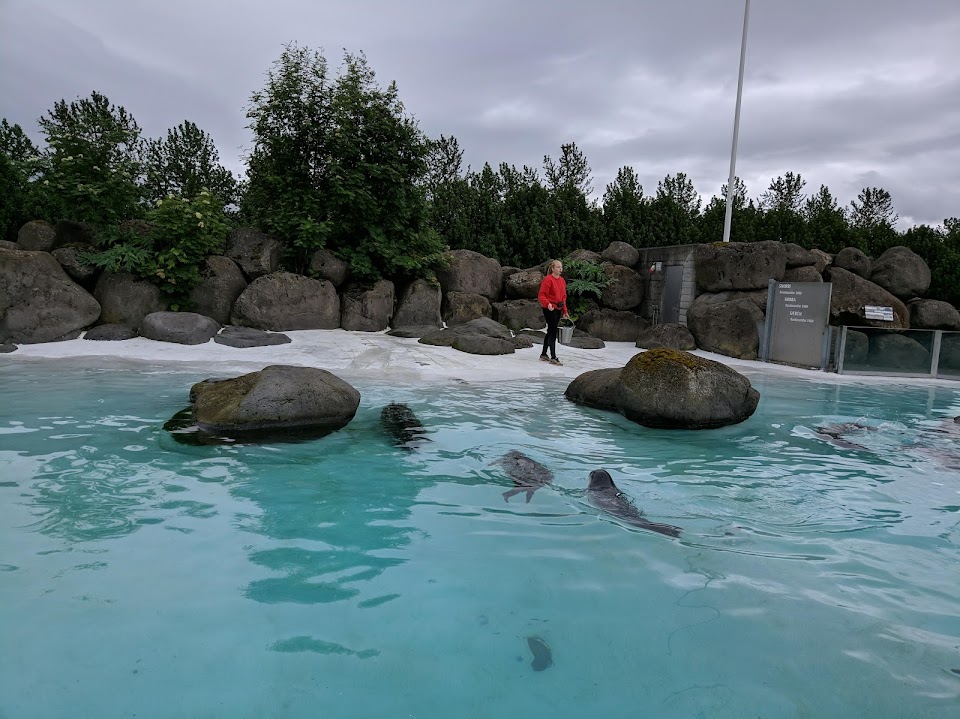 Wonder Play Park Reykjavik