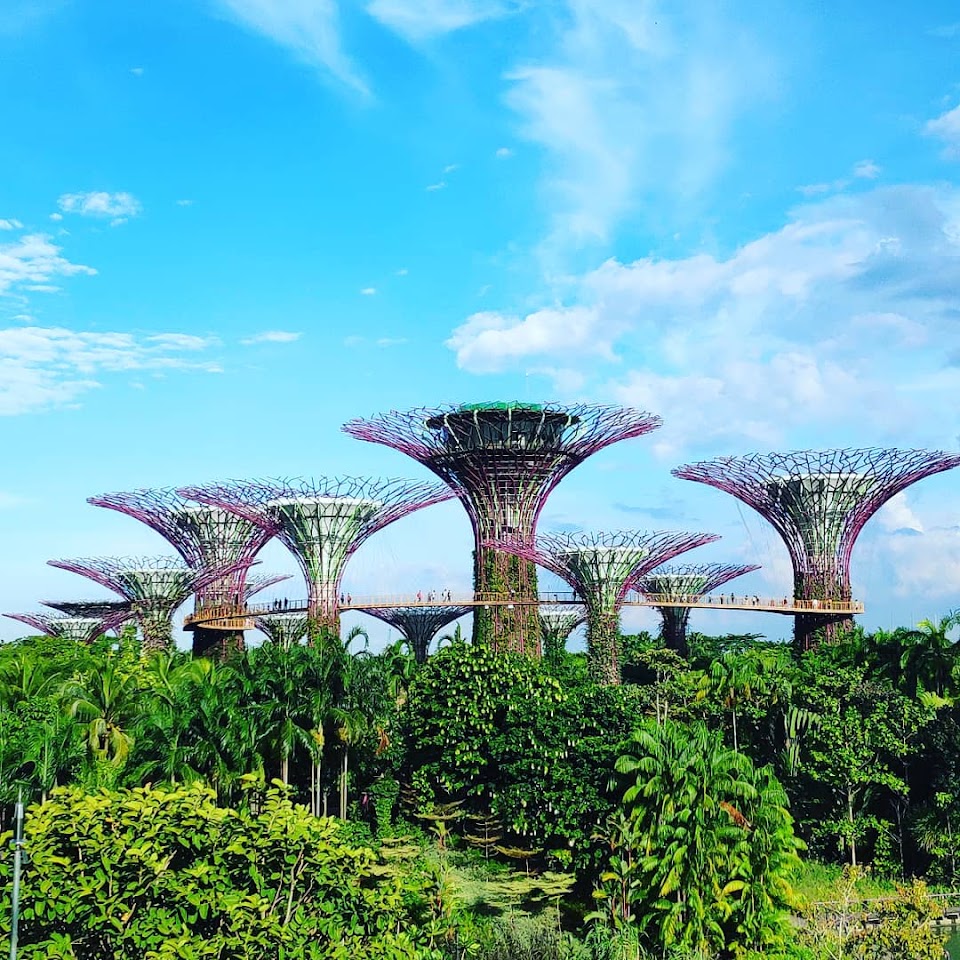 Gardens by the Bay – Children's Garden
