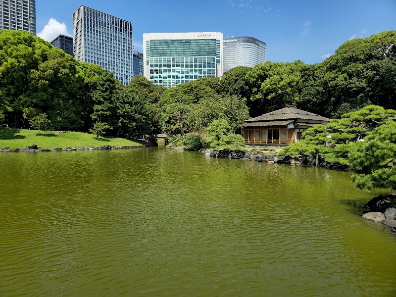 Tokyo 3-Day Essential Highlights