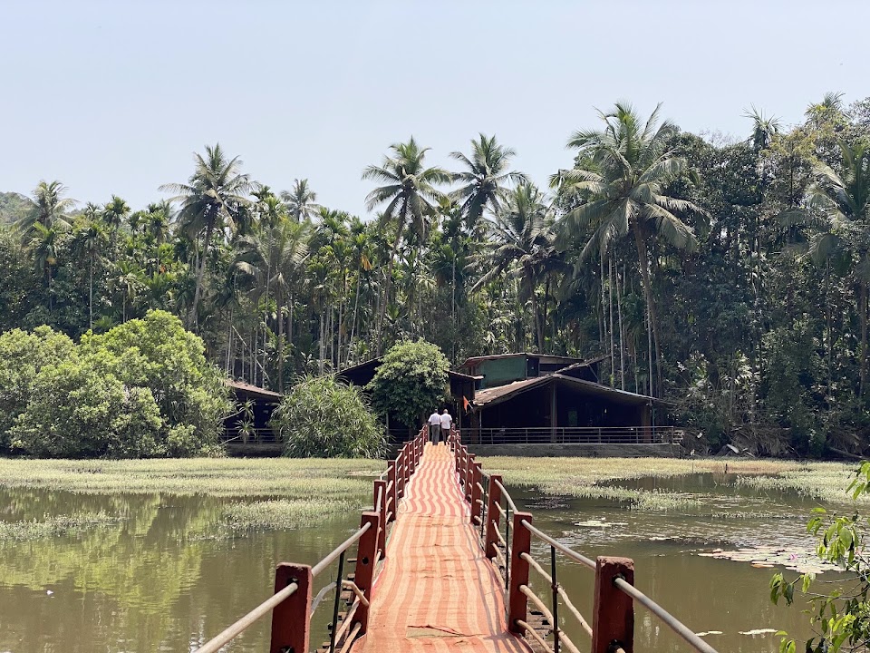 Spice Plantations in Goa with Kids: A Family Day Out