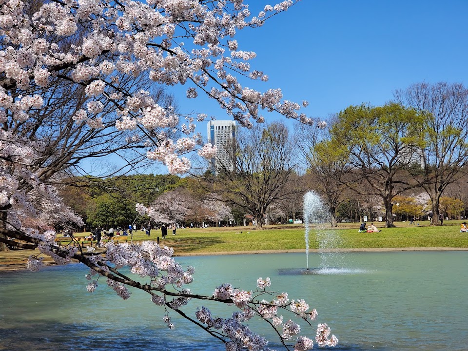 Best Parks and Playgrounds in Tokyo for Kids: Let Them Run Free
